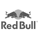 Wikitude Partners Red Bull